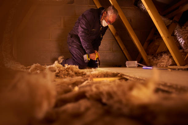 Best Insulation Maintenance and Repair in Hoquiam, WA